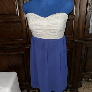TCEC Strapless Dress in Blue and Cream